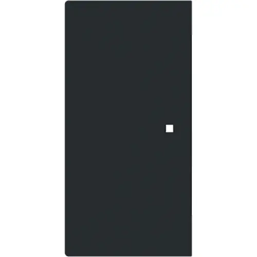 Busch-Jaeger bedieningswip links of rechts zonder opdruk tbv bedieningselement flex 2-voudig Art Linear zwart mat (6230-20-45M)