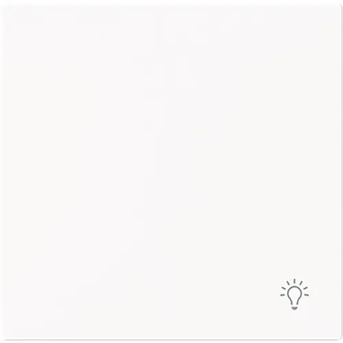 Busch-Jaeger schakelwip symbool licht Art Linear studiowit mat (2520 LI-44M)