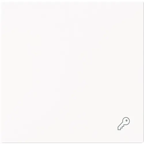 Busch-Jaeger schakelwip symbool sleutel Art Linear studiowit mat (2520 TR-44M)