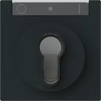 Busch-Jaeger cpl slot art-mzw (1755 SL/PZ-45M)