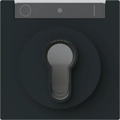 Busch-Jaeger cpl slot art-mzw (1755 SL/PZ-45M)