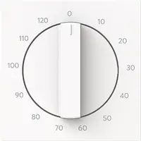 Busch-Jaeger draaigreep tijdschakelaar 120 min Art Linear studiowit mat (1771-44M-103)