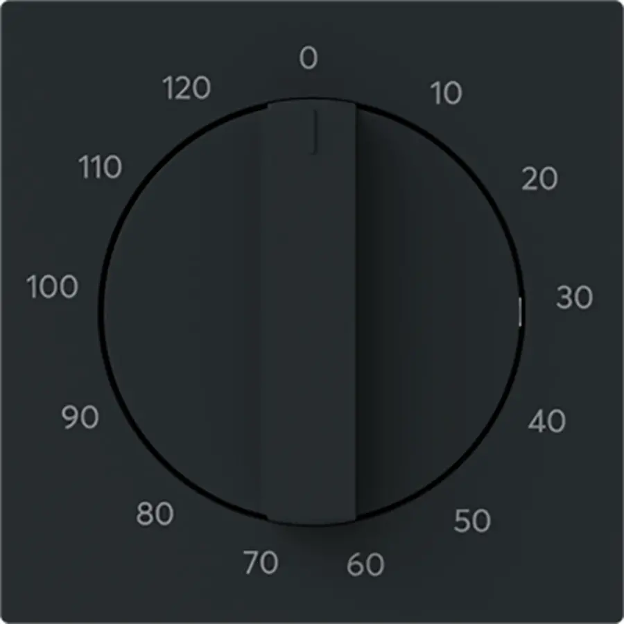 Busch-Jaeger draaigreep tijdschakelaar 120 min Art Linear zwart mat (1771-45M-103)