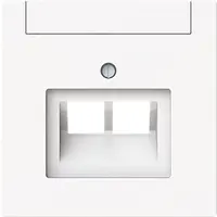 Busch-Jaeger centraalplaat RJ45 wandcontactdoos 2-voudig Art Linear studiowit mat (1803-02-44M)