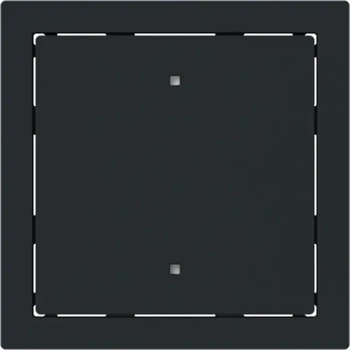 Busch-Jaeger wip lens art-mzw (2570-10-45M) Busch-Jaeger wip lens art-mzw (2570-10-45M)