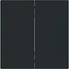 Busch-Jaeger foh-bed wip 2v art-mzw smart (6736 FOH-45M)