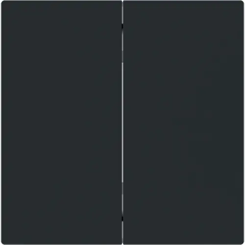 Busch-Jaeger foh-bed wip 2v art-mzw smart (6736 FOH-45M) Busch-Jaeger foh-bed wip 2v art-mzw smart (6736 FOH-45M)