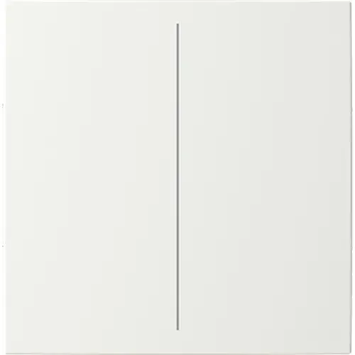 Busch-Jaeger cpl v keypad 2v b-alpinwit (LFW/A.2.55.11-914) Busch-Jaeger cpl v keypad 2v b-alpinwit (LFW/A.2.55.11-914)