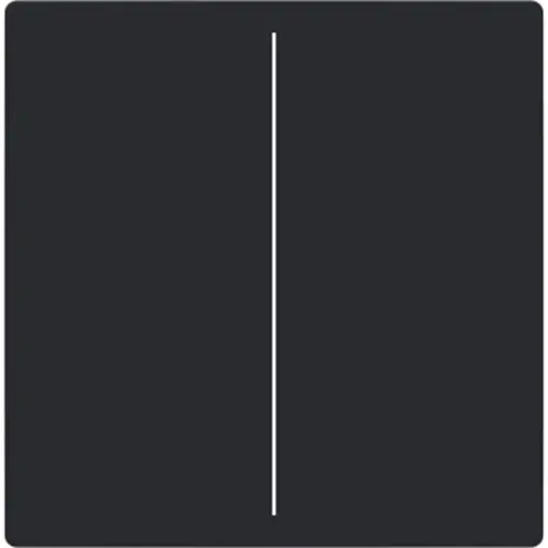 Busch-Jaeger cpl v keypad 2v f/s -matzwart (LFW/A.2.63.11-885) Busch-Jaeger cpl v keypad 2v f/s -matzwart (LFW/A.2.63.11-885)