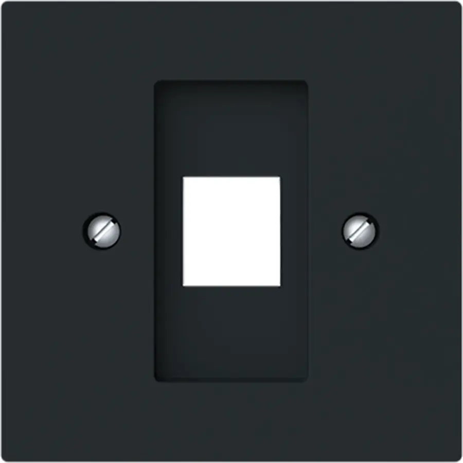Busch-Jaeger cpl 1xmj 216000-2/216005-4 mzw (2561-45M)