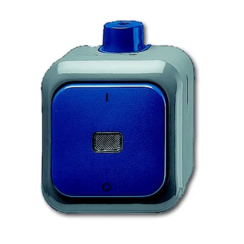 Busch-Jaeger schak 2 pol 2601/2wdi opb (2601/2 WDI)