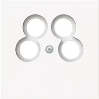 Busch-Jaeger cpl 50 x 50 ankaro antenne mwt (1743/10-04-44M)