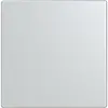Busch-Jaeger cpl keypad 1v aluzilv (LFW/A.1.63.11-83)