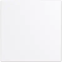 Busch-Jaeger cpl keypad 1v swt (LFW/A.1.63.11-84)