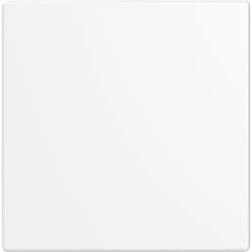 Busch-Jaeger cpl keypad 1v swt (LFW/A.1.63.11-84)