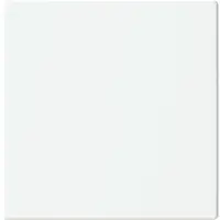 Busch-Jaeger cpl keypad 1v mwt (LFW/A.1.63.11-884)