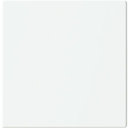 Busch-Jaeger cpl keypad 1v mwt (LFW/A.1.63.11-884)