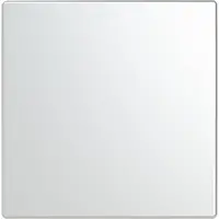 Busch-Jaeger cpl keypad 1v rvs (LFW/A.1.63.11-866)