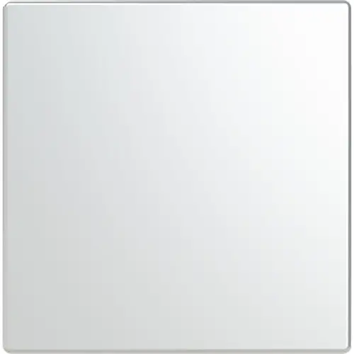 Busch-Jaeger cpl keypad 1v rvs (LFW/A.1.63.11-866) Busch-Jaeger cpl keypad 1v rvs (LFW/A.1.63.11-866)