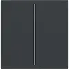 Busch-Jaeger cpl keypad 2v antr (LFW/A.2.63.11-81)