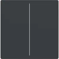 Busch-Jaeger cpl keypad 2v antr (LFW/A.2.63.11-81)