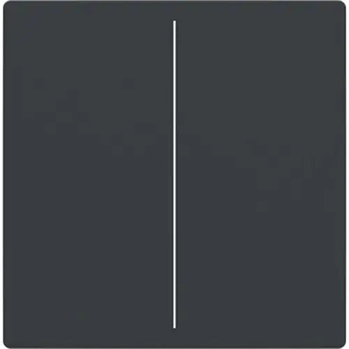 Busch-Jaeger cpl keypad 2v antr (LFW/A.2.63.11-81) Busch-Jaeger cpl keypad 2v antr (LFW/A.2.63.11-81)