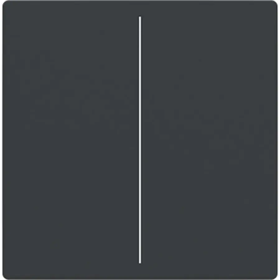 Busch-Jaeger cpl keypad 2v antr (LFW/A.2.63.11-81)