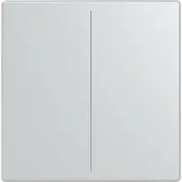 Busch-Jaeger cpl keypad 2v aluzilv (LFW/A.2.63.11-83)