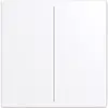 Busch-Jaeger cpl keypad 2v swt (LFW/A.2.63.11-84)