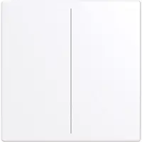 Busch-Jaeger cpl keypad 2v swt (LFW/A.2.63.11-84)