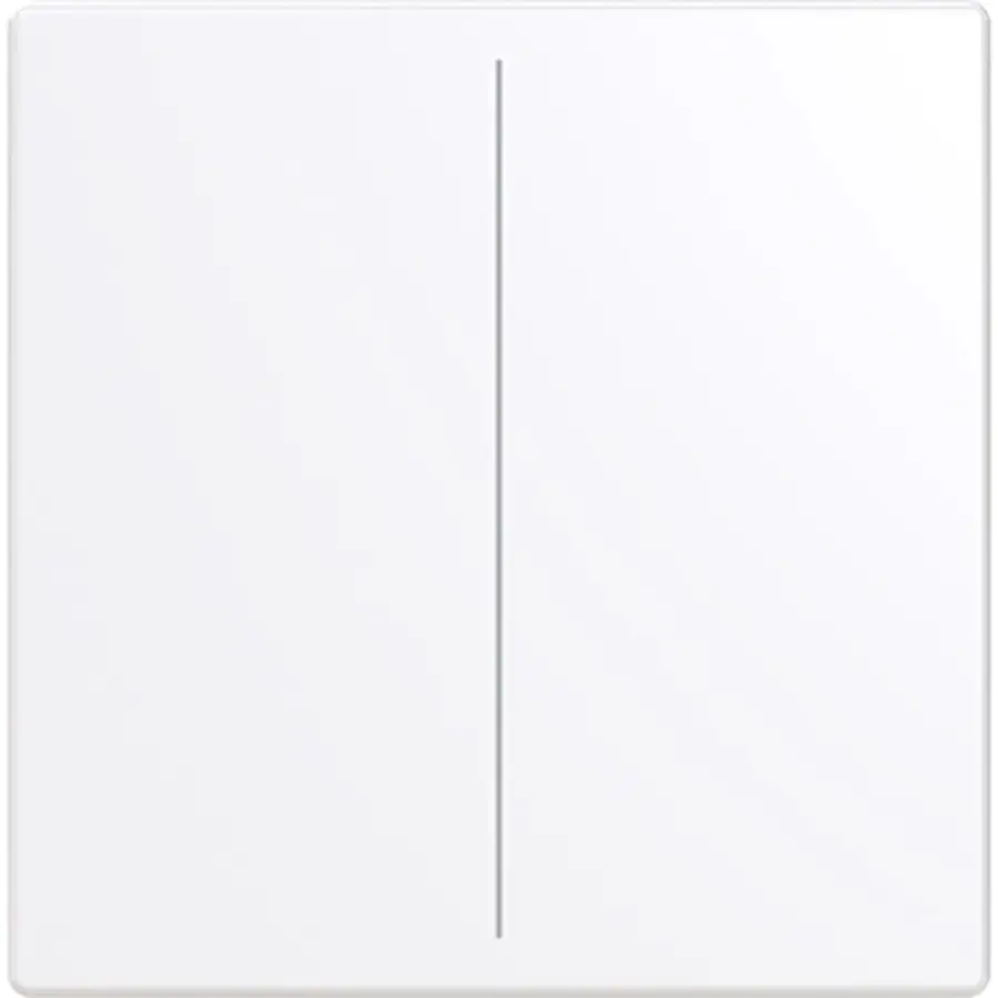 Busch-Jaeger cpl keypad 2v swt (LFW/A.2.63.11-84)