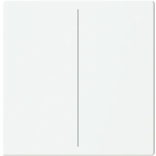 Busch-Jaeger cpl keypad 2v mwt (LFW/A.2.63.11-884) Busch-Jaeger cpl keypad 2v mwt (LFW/A.2.63.11-884)