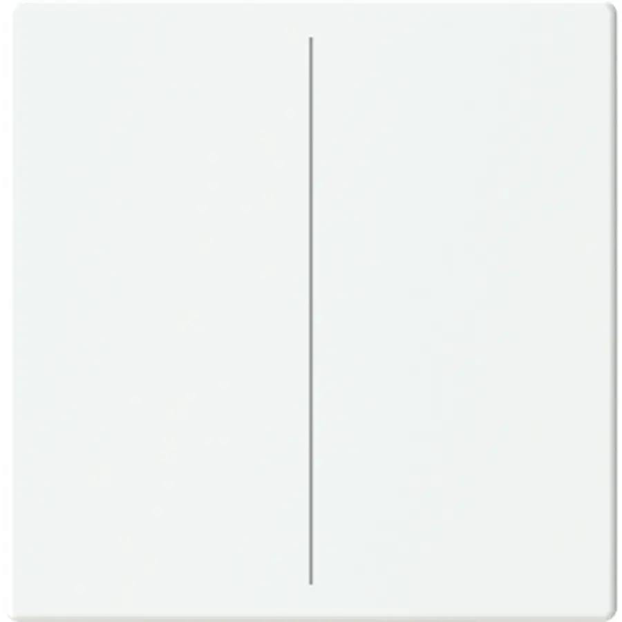 Busch-Jaeger cpl keypad 2v mwt (LFW/A.2.63.11-884)