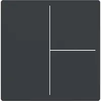 Busch-Jaeger cpl keypad 3v antr (LFW/A.3.63.11-81)