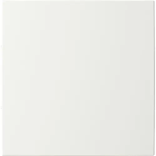 Busch-Jaeger cpl keypad 1v wt (LFW/A.1.55.11-914) Busch-Jaeger cpl keypad 1v wt (LFW/A.1.55.11-914)