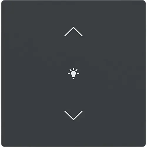 Busch-Jaeger cpl 1v wip dimsymb antr (LFDW/A.1.63.11-81) Busch-Jaeger cpl 1v wip dimsymb antr (LFDW/A.1.63.11-81)