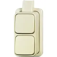 Busch-Jaeger wissel/wisselschakelaar K/P-25 opbouw AP plus creme (2601/6/2601/6 APJ)