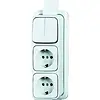 Busch-Jaeger combinatie serieschakelaar/2x wandcontactdoos RA K/P-25 opbouw AP plus wit (2601/5/2300/2EAPJW)