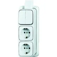 Busch-Jaeger combinatie serieschakelaar/2x wandcontactdoos RA K/P-25 opbouw AP plus wit (2601/5/2300/2EAPJW)