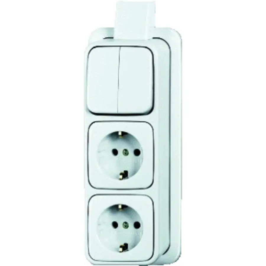 Busch-Jaeger combinatie serieschakelaar/2x wandcontactdoos RA K/P-25 opbouw AP plus wit (2601/5/2300/2EAPJW)