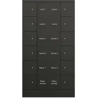 Busch-Jaeger Bedienings sensor KNX - ClimaEco Mat zwart 12f (SB/U12.0.11-885)