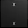 Busch-Jaeger cpl v trekschak 2610/6Uxx Balance SI zwart mat (1796-915)
