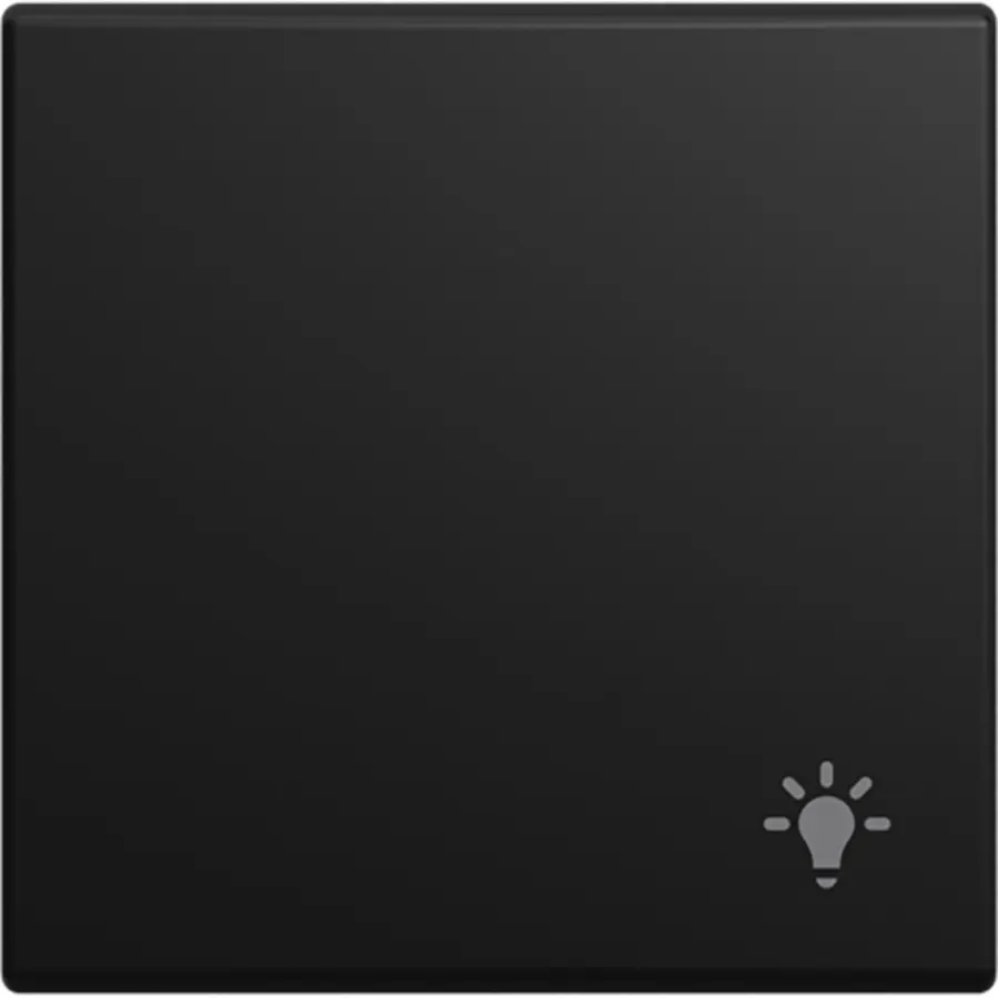 Busch-Jaeger schakelwip symbool licht Balance SI zwart mat (2520 LI-915)