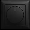 Busch-Jaeger complete set draaidimmer 6523 Balance SI zwart mat (6523 UJ-915-102)