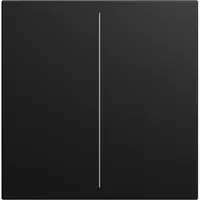 Busch-Jaeger cpl v Keypad 2-voudig Balance SI zwart mat (LFW/A.2.55.11-915)