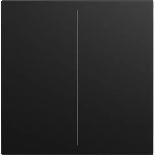Busch-Jaeger cpl v Keypad 2-voudig Balance SI zwart mat (LFW/A.2.55.11-915) Busch-Jaeger cpl v Keypad 2-voudig Balance SI zwart mat (LFW/A.2.55.11-915)