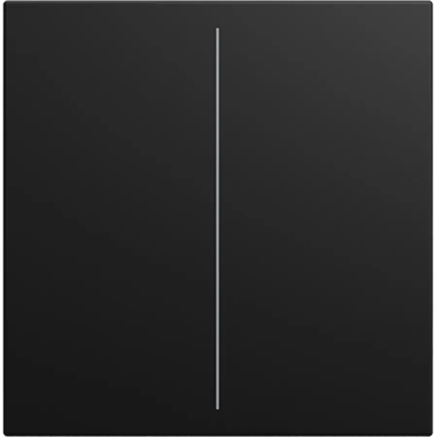 Busch-Jaeger cpl v Keypad 2-voudig Balance SI zwart mat (LFW/A.2.55.11-915)