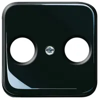 Busch-Jaeger centraalplaat antenne / COAX wandcontactdoos Standaard SI zwart (2531-215)