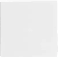 Busch-Jaeger schakelwip Future Linear studiowit glans (1786-84)