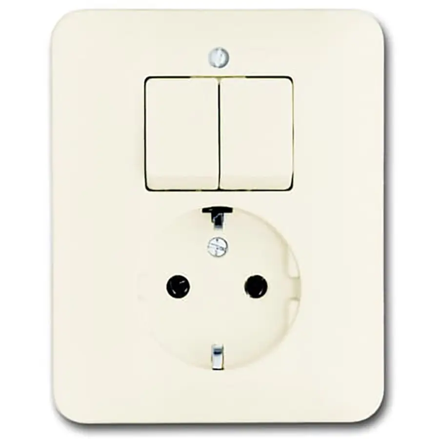 Busch-Jaeger combinatie serieschakelaar/wandcontactdoos randaarde SI (4310/5 EUJ-212-503)